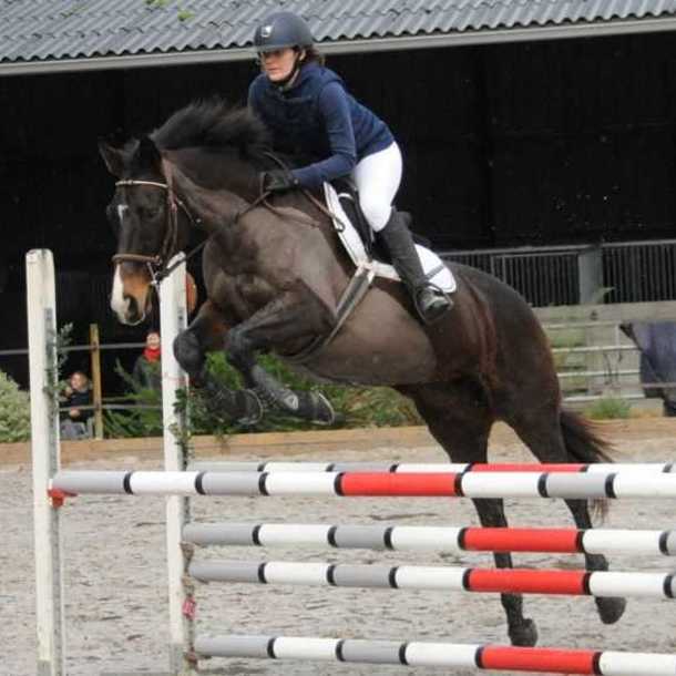 Compétition Saut d'Obstacles à Lège Cap Ferret 